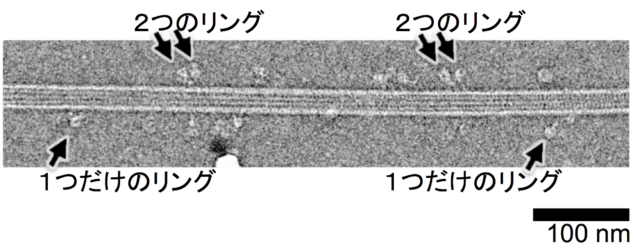 20150914_1_fig2.png