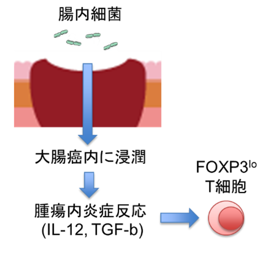 20160426_1_fig0.png