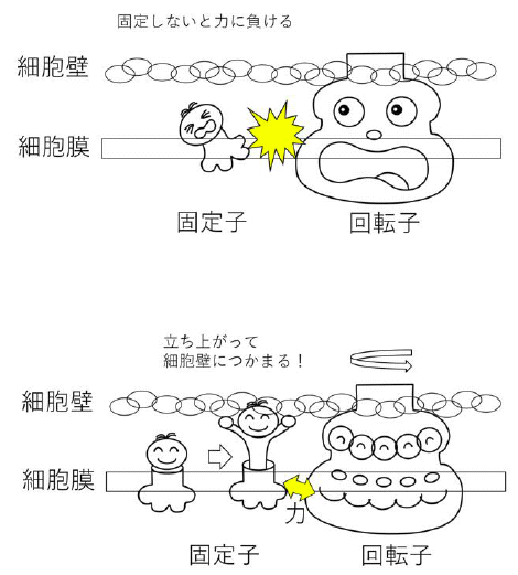 20180323_2_fig1.PNG