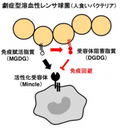 20181023_1_fig1.png