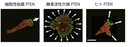 20181030_3_fig2.png