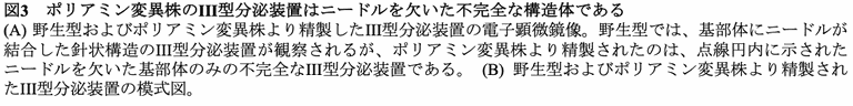 20240806_1_cap3.png