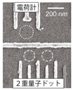 20241003_1_1.png
