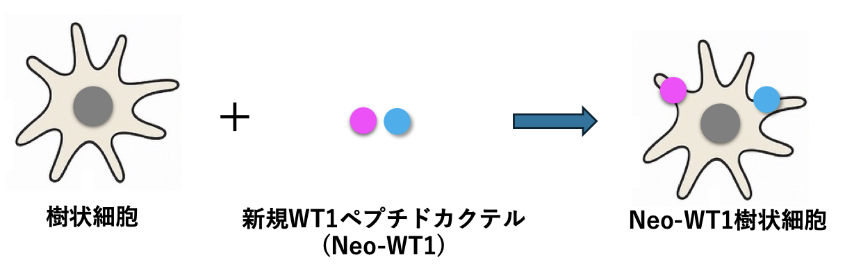20250826_1_8.png