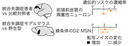 20260409_1_4.png