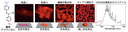 20260410_2_1.png