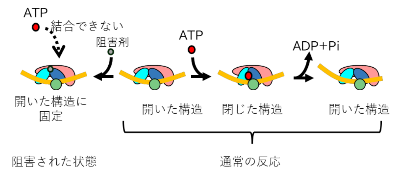 20260416_2_2.png