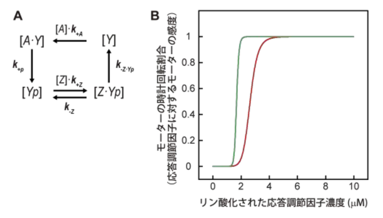 20260416_3_3.png