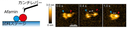 20260501_3_1.png