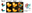 20260501_3_2.png