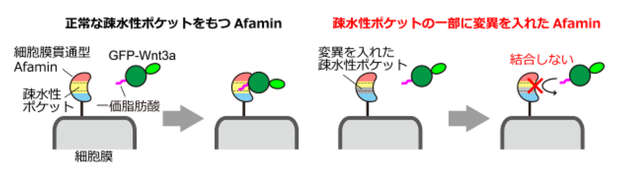 20260501_3_4.png