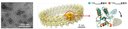 20260527_1_1.png
