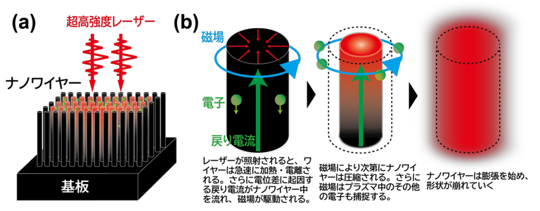 20260601_2_2.png