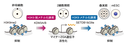 20260604_2_1.png