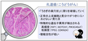 20260604_3_1.png