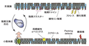 20260706_4_1.png