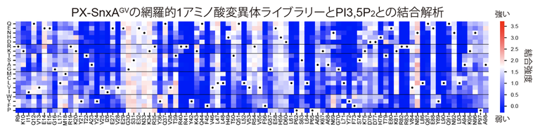 20260706_4_3.png