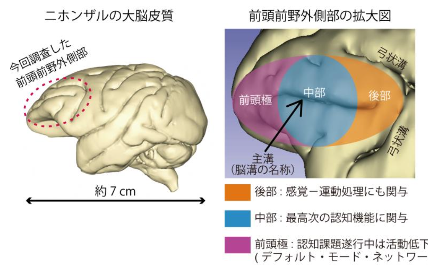 20260718_1_1.png