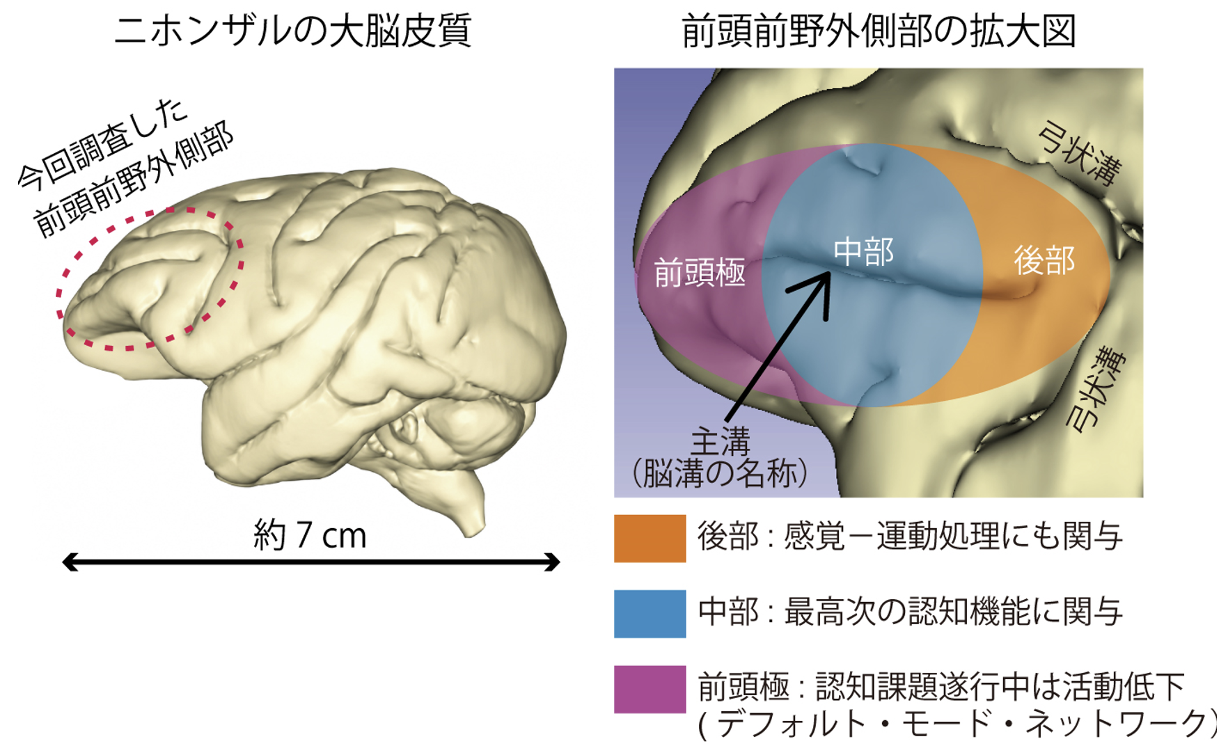 20260718_1_2.png