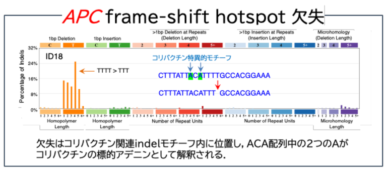 20260810_1_4.png