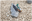 20260821_1_1.png