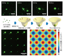 20260825_2_1.png