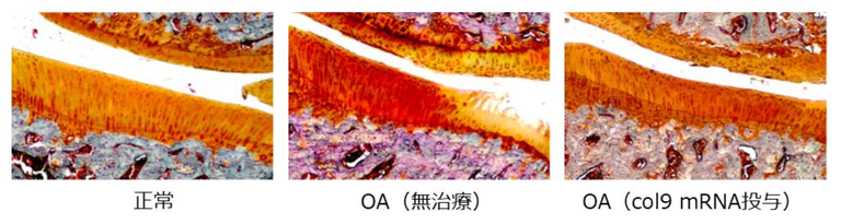 20260903_1_2.png