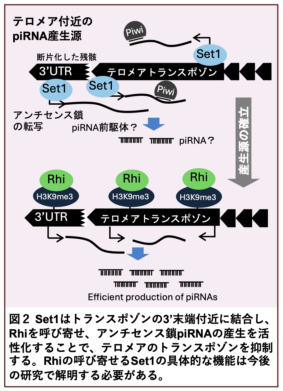 20260904_3_2.png