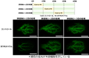20260929_3_2.png