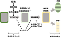 20260929_3_3.png