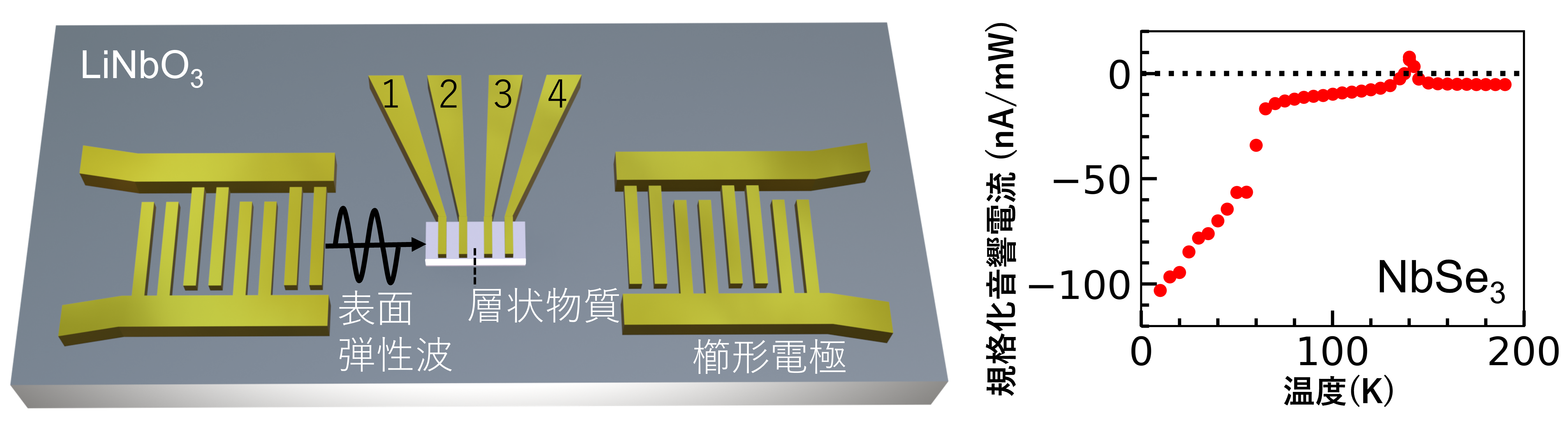 20260930_2_1.png