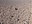 20261005_1_1.jpg