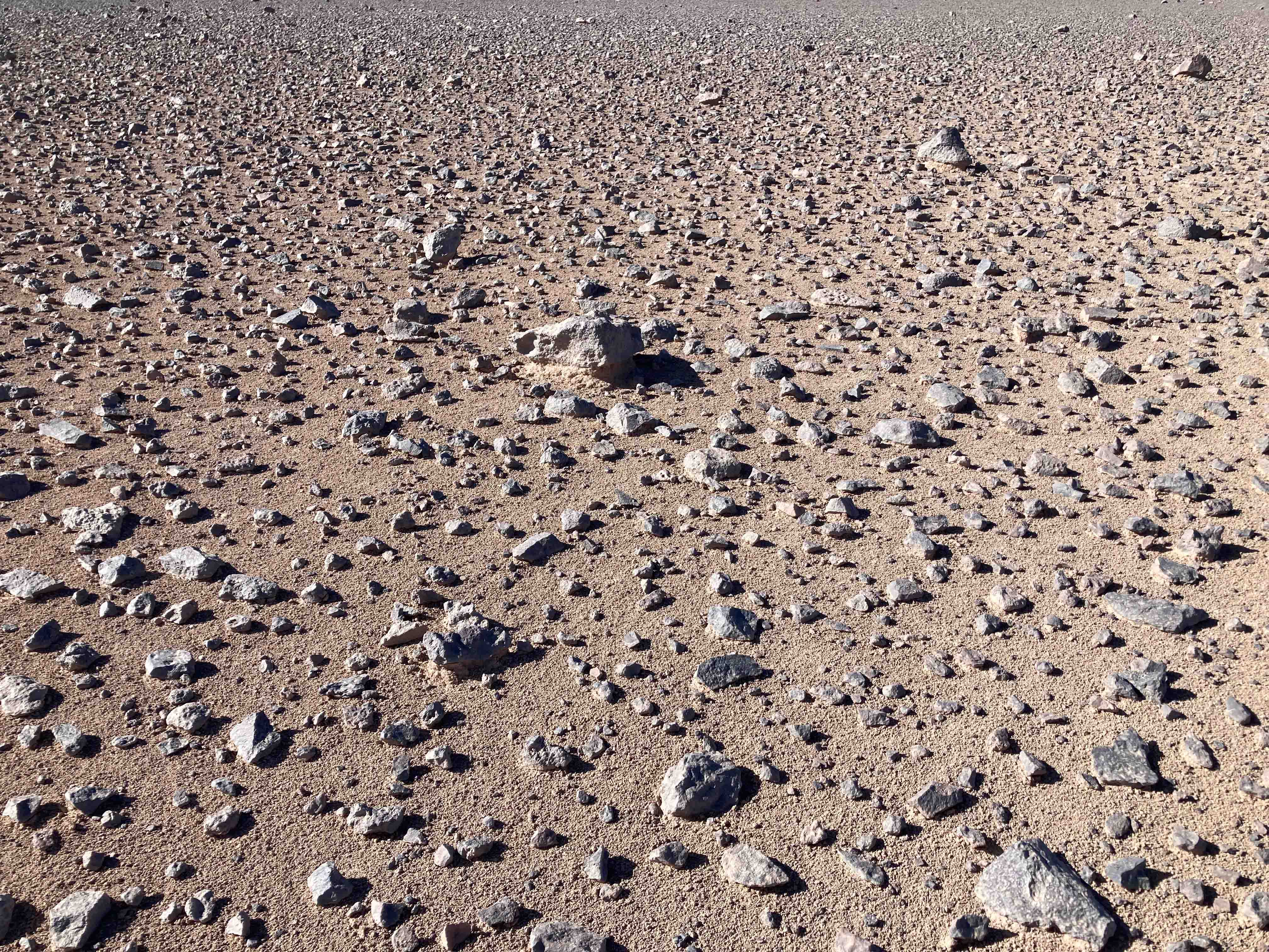 20261005_1_1.jpg