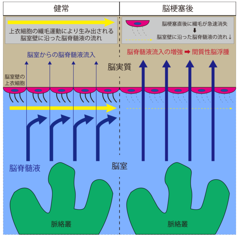 20261020_1_1.png