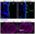 20261020_1_4.png