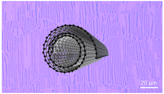 20261021_1_0.png