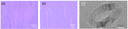 20261021_1_2.png