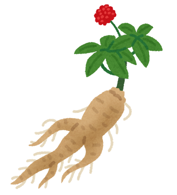 豆知識 画像②.png