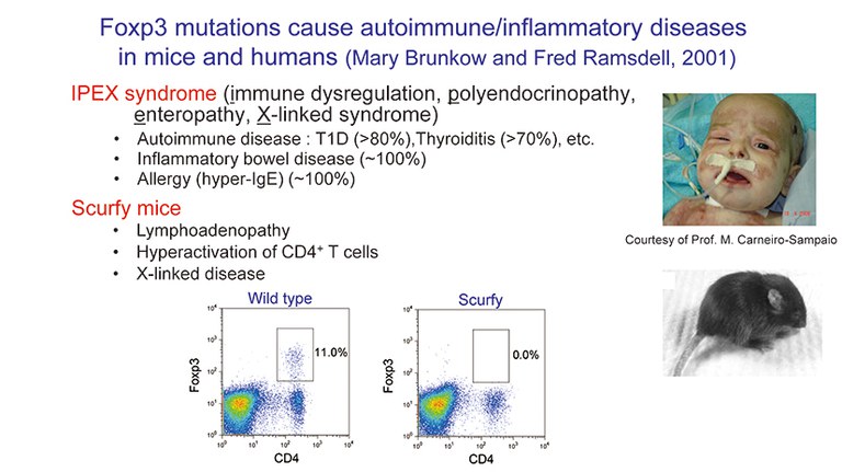 94_kiwami_NobelPrizeLecture_slide06.jpg