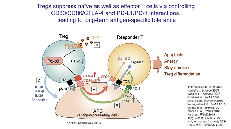 94_kiwami_NobelPrizeLecture_slide11.jpg