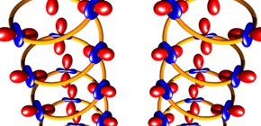 Successful observation of quadrupole helix chirality