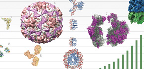 Institute for Protein Research -- hub for the worldwide Protein Data Bank