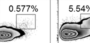 Elucidation of mechanism by which  Regulatory T-cells control vaccination response