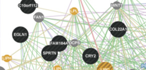 Gene networks related to cognitive function in schizophrenia identified