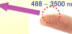 High-speed En Face Optical Coherence Tomography  Measurement System Developed