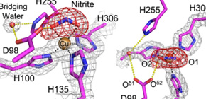 True chemical reactions supporting life phenomena elucidated