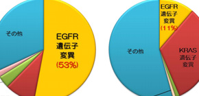 Gene region for determining susceptibility to the development of LADC with EGFR mutation discovered