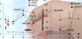 Silver (Ag) nanoparticles distribution to breast milk and effects on baby mice analyzed 