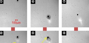 Detailed combustion behavior of pulverized coal in co-combustion with ammonia elucidated