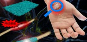 Electrospun nanofiber sheets for treating nerve injury developed